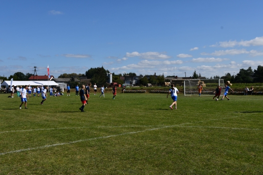 DSC_6600_wynik.jpg