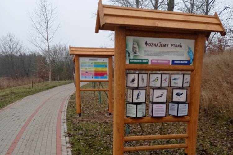 Budowa ścieżki ekologicznej w Zakrzewie