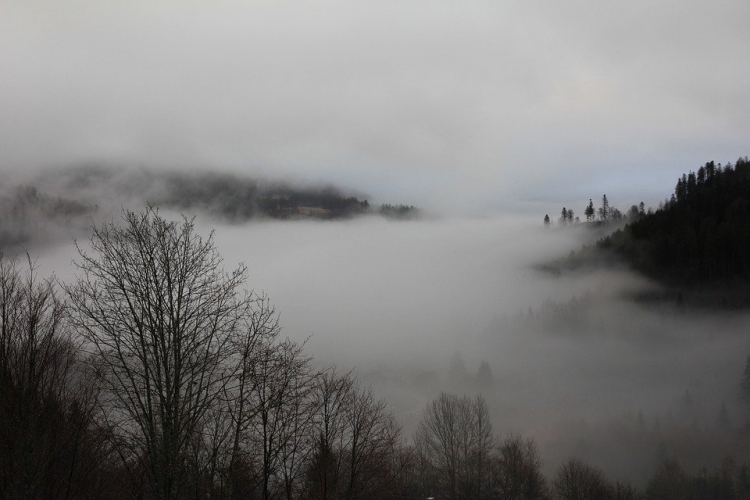 Gęsta mgła - widoczność utrudniona