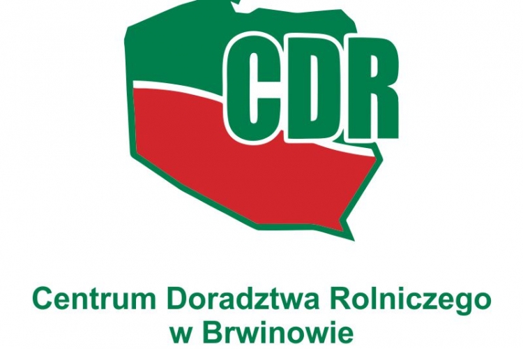 Bezpłatne szkolenie 