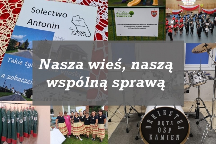 Konkurs ofert dla organizacji pozarządowych