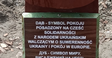 1651468998757.jpg