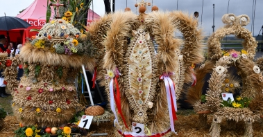DSC_5677.JPG