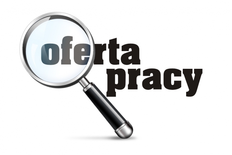 Oferta pracy