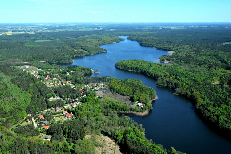 Ogłoszenie Wójta Gminy Zakrzewo