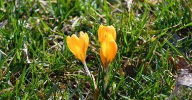 DSC_1102.JPG