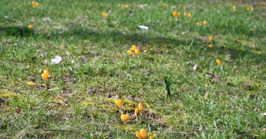 DSC_1106.JPG