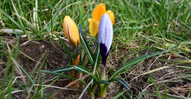 DSC_1116.JPG