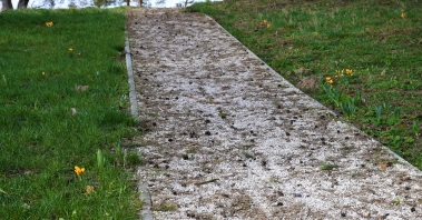 DSC_1120.JPG
