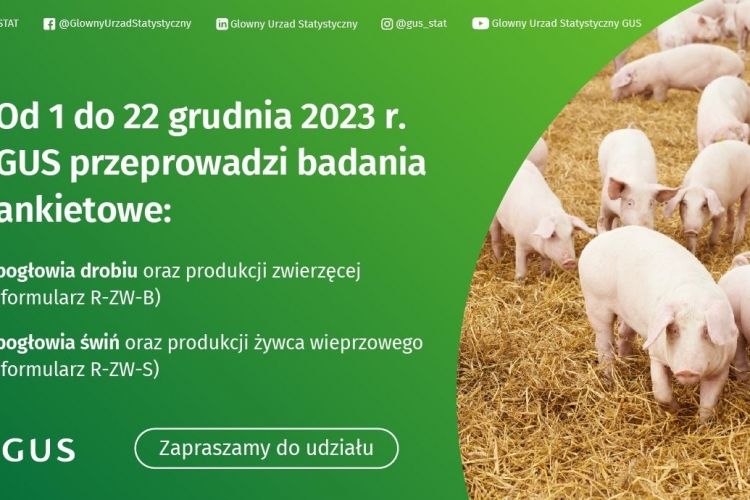 Badania statystyczne z zakresu rolnictwa