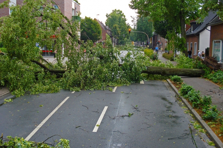 Ostrzeżenie meteorologiczne nr 12