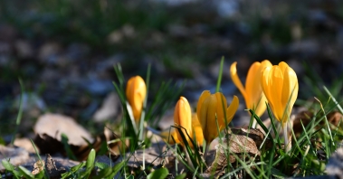 DSC_1972.JPG
