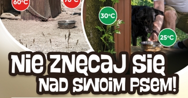 ZWIERZ-akcja-lato-plakat-1-A3-podglad.jpg