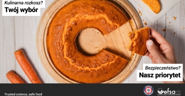 Gopa-EFSA-Safe-toEat-key-visuals--PL--Carrot_or_banana_cake-1920x1080.jpg