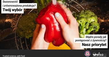 Gopa-EFSA-Safe-toEat-key-visuals--PL--Vegetable_washing-1920x1080.jpg