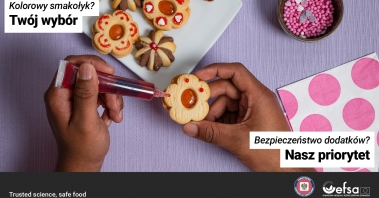 Gopa-EFSA-Safe-toEat-key-visuals--PL--simple_cookies_with_decorations-1920x1080.jpg