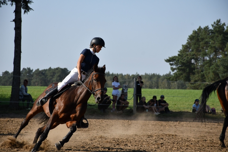 Towarzyskie zawody w skokach przez przeszkody w Stajni MGT Horses w Starej Wiśniewce