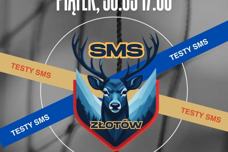  Szkoła Mistrzostwa Sportowego w dyscyplinie piłki siatkowej dla dziewcząt