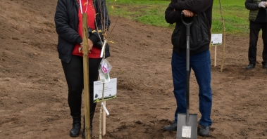 DSC_1989_wynik.jpg